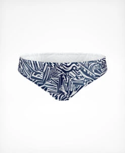 Brownlee Brief II - Ali